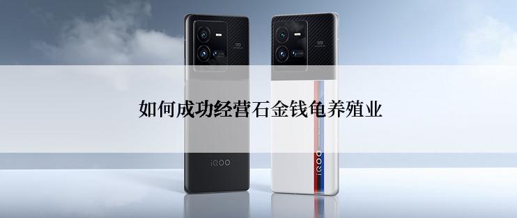  如何成功经营石金钱龟养殖业