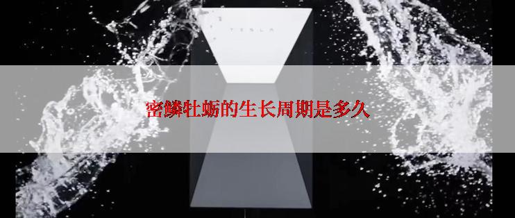 密鳞牡蛎的生长周期是多久