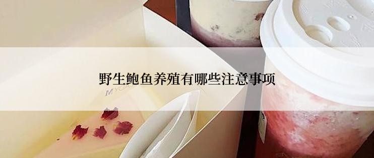 野生鲍鱼养殖有哪些注意事项
