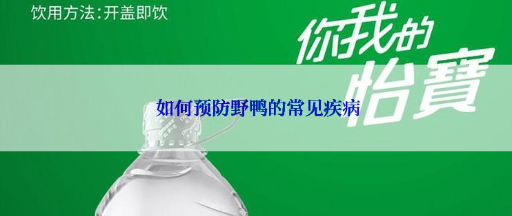  如何预防野鸭的常见疾病