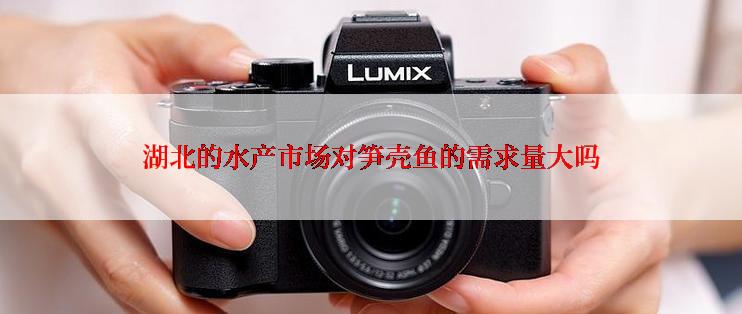湖北的水产市场对笋壳鱼的需求量大吗