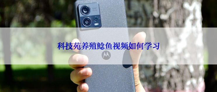 科技苑养殖鲶鱼视频如何学习