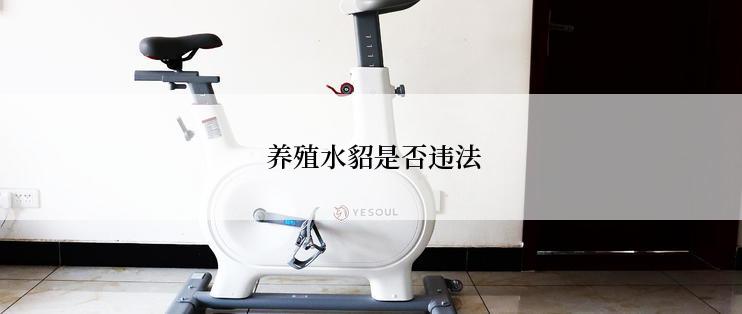 养殖水貂是否违法