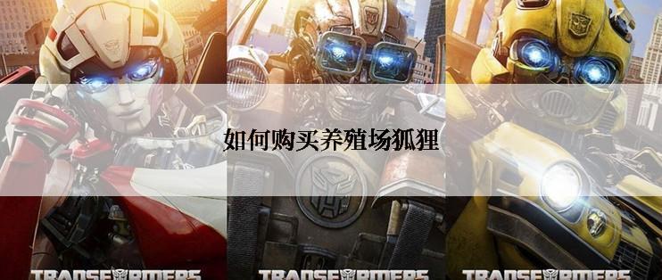 如何购买养殖场狐狸