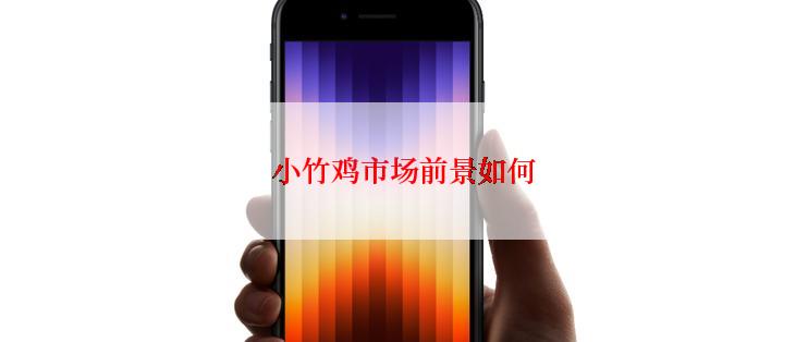 小竹鸡市场前景如何