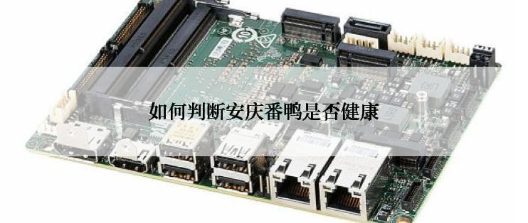 如何判断安庆番鸭是否健康
