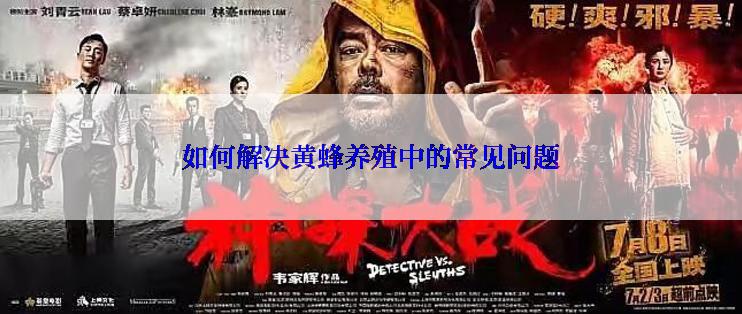 如何解决黄蜂养殖中的常见问题