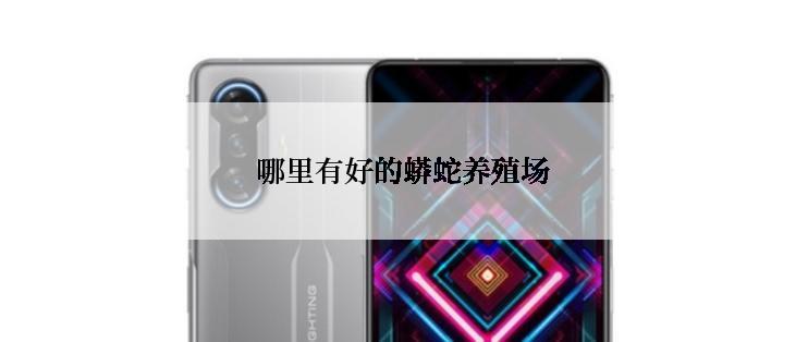 哪里有好的蟒蛇养殖场