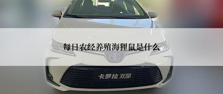 每日农经养殖海狸鼠是什么