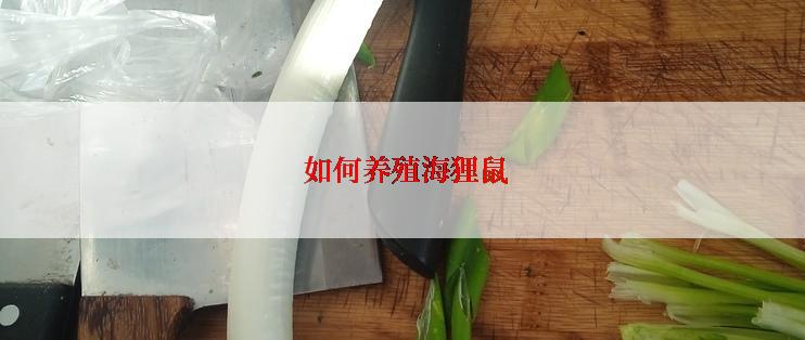 如何养殖海狸鼠