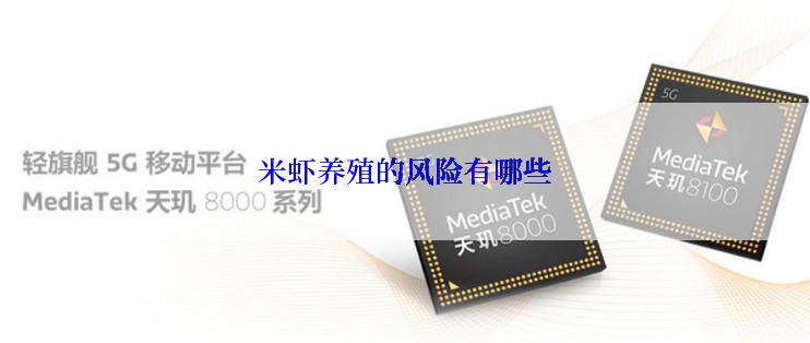 米虾养殖的风险有哪些