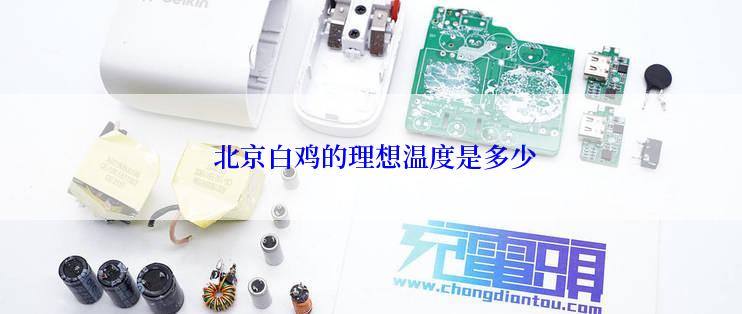  北京白鸡的理想温度是多少