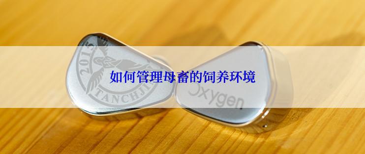 如何管理母畜的饲养环境