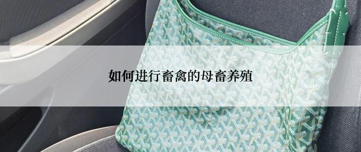 如何进行畜禽的母畜养殖