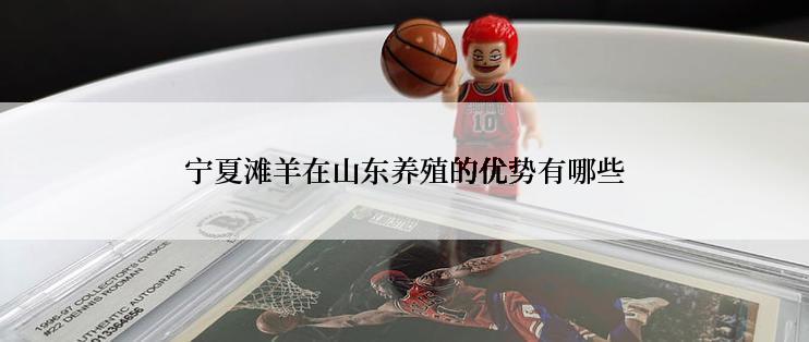 宁夏滩羊在山东养殖的优势有哪些