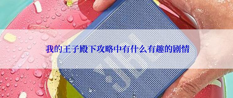  我的王子殿下攻略中有什么有趣的剧情