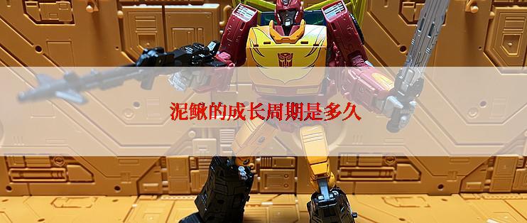  泥鳅的成长周期是多久