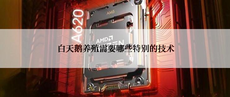  白天鹅养殖需要哪些特别的技术