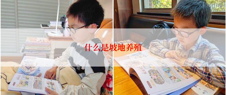 什么是坡地养殖