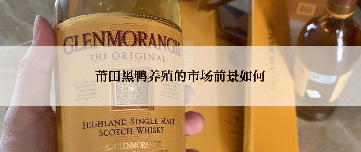 莆田黑鸭养殖的市场前景如何