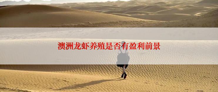 澳洲龙虾养殖是否有盈利前景