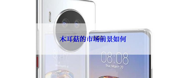  木耳菇的市场前景如何