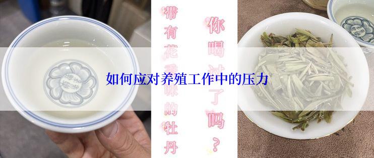 如何应对养殖工作中的压力