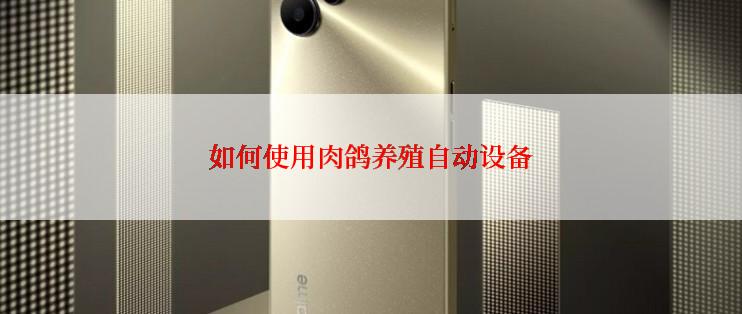 如何使用肉鸽养殖自动设备