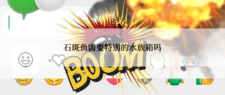 石斑鱼需要特别的水族箱吗