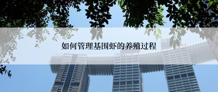 如何管理基围虾的养殖过程