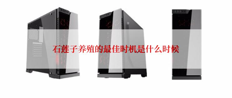 石莲子养殖的最佳时机是什么时候