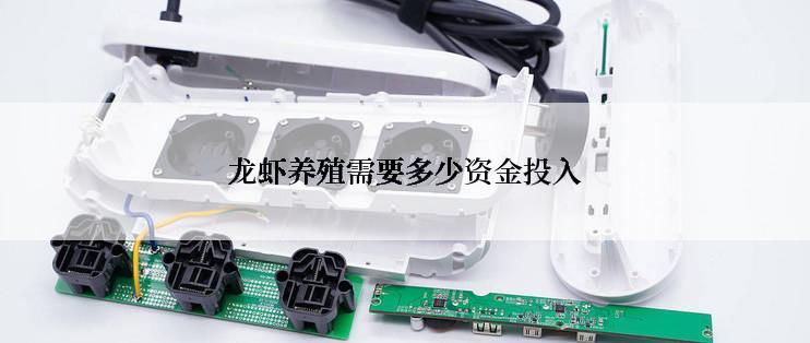 龙虾养殖需要多少资金投入