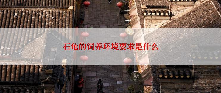 石龟的饲养环境要求是什么