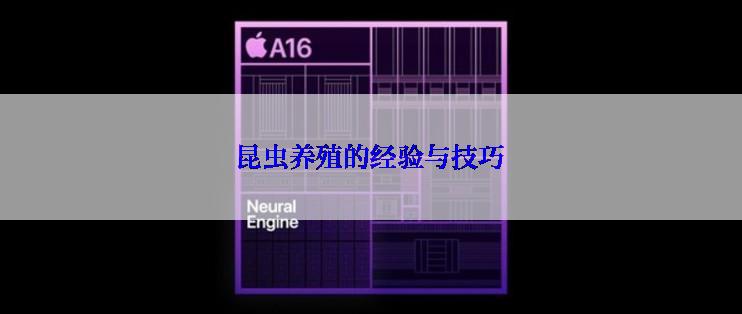 昆虫养殖的经验与技巧