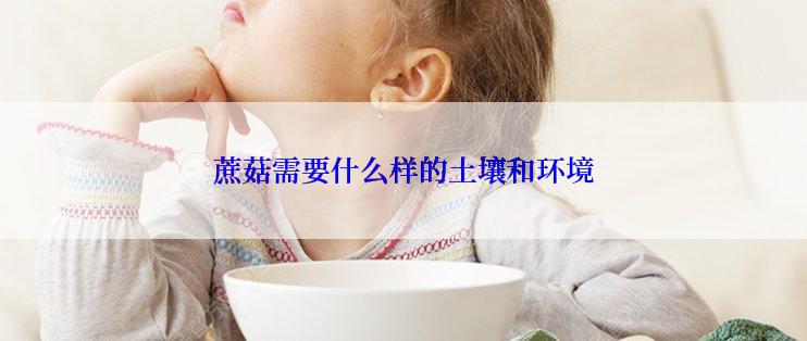 蔗菇需要什么样的土壤和环境