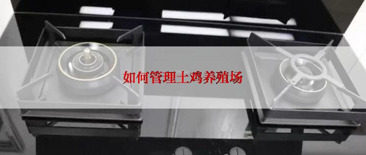 如何管理土鸡养殖场