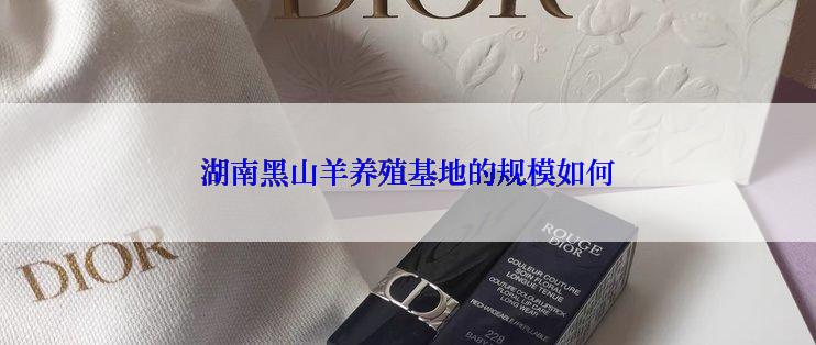 湖南黑山羊养殖基地的规模如何