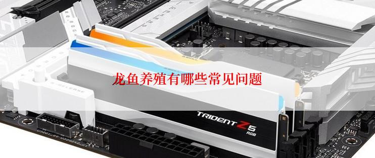 龙鱼养殖有哪些常见问题