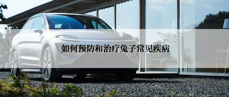  如何预防和治疗兔子常见疾病