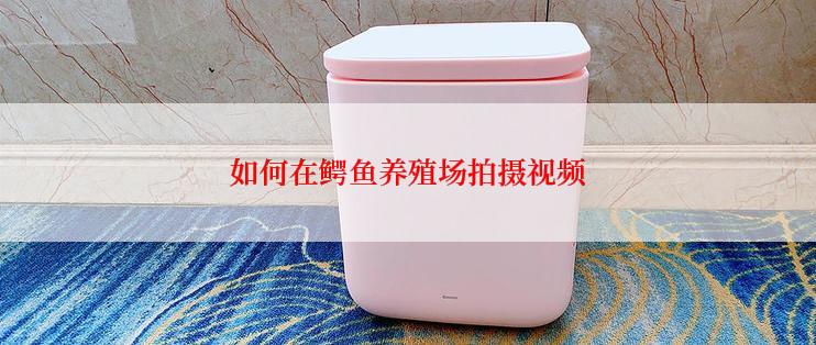 如何在鳄鱼养殖场拍摄视频