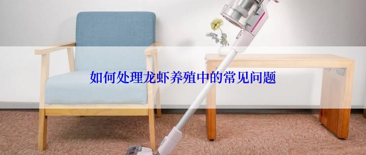 如何处理龙虾养殖中的常见问题