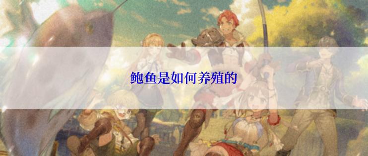 鲍鱼是如何养殖的