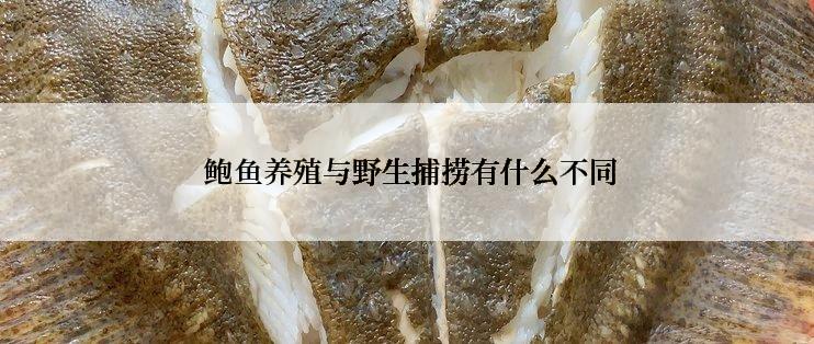  鲍鱼养殖与野生捕捞有什么不同