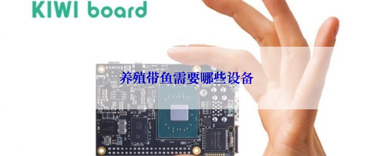  养殖带鱼需要哪些设备