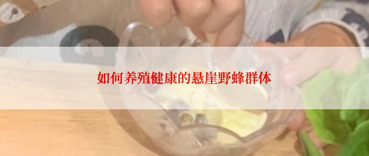 如何养殖健康的悬崖野蜂群体