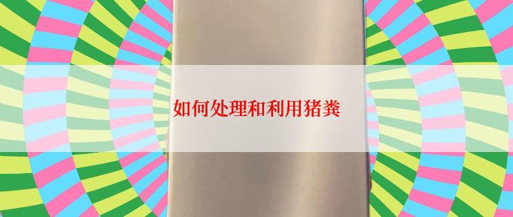 如何处理和利用猪粪