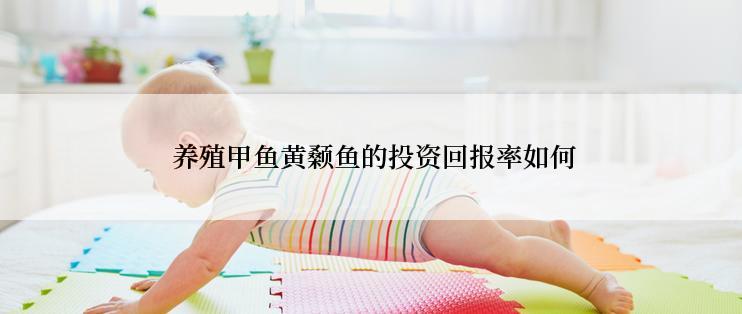  养殖甲鱼黄颡鱼的投资回报率如何