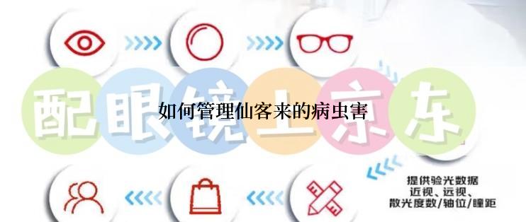 如何管理仙客来的病虫害