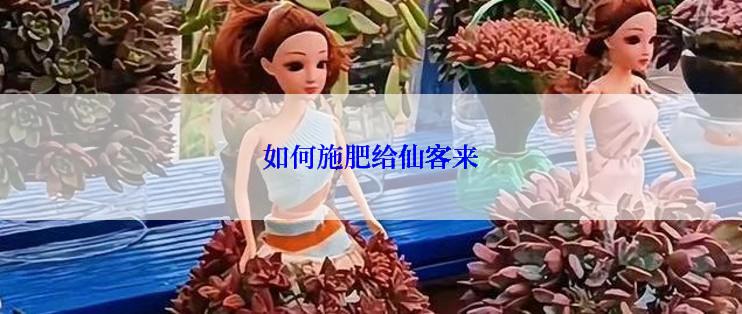 如何施肥给仙客来