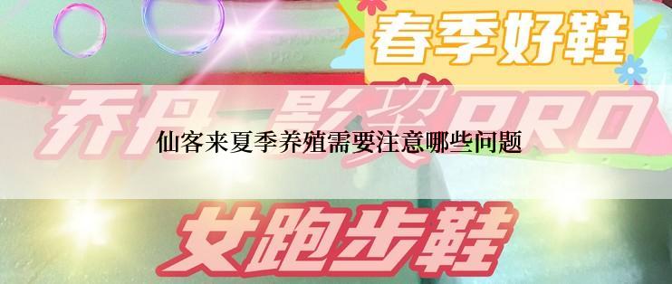  仙客来夏季养殖需要注意哪些问题